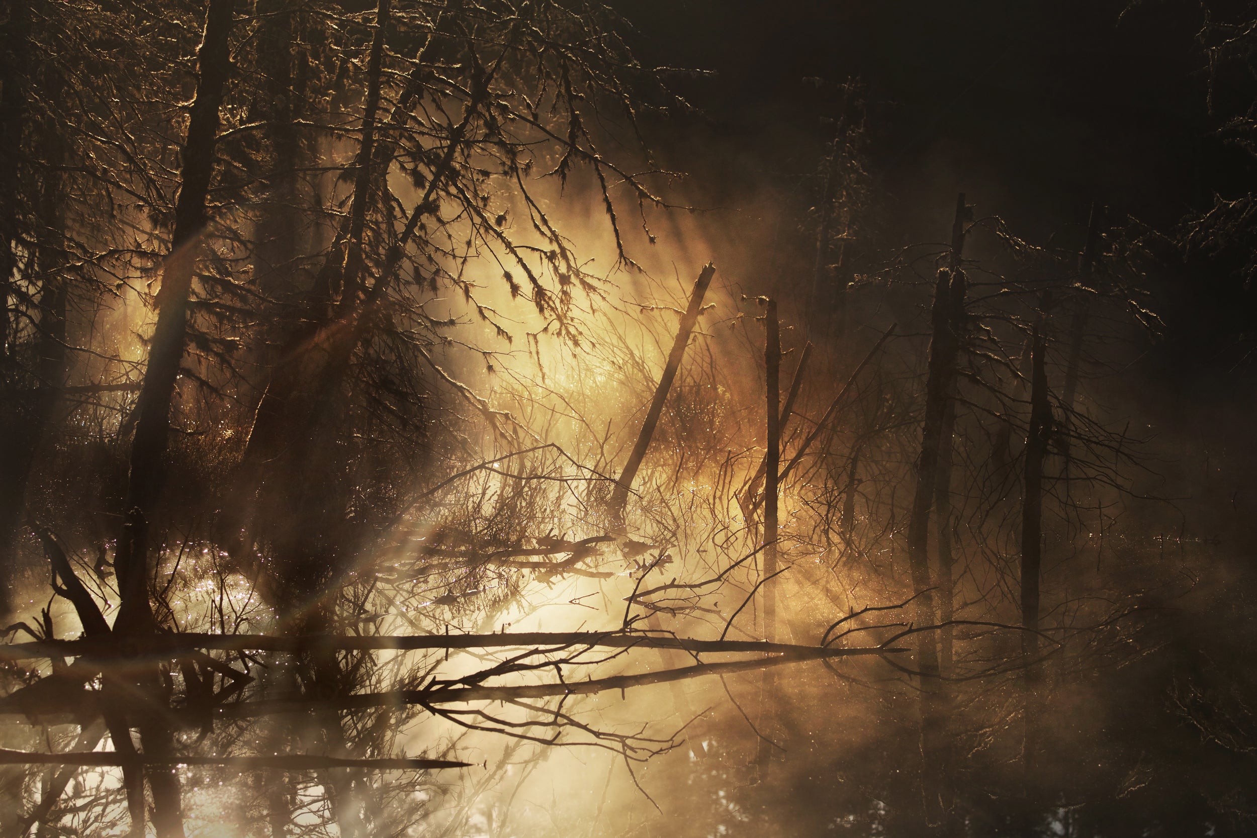 Paysage du Québec - Été 011