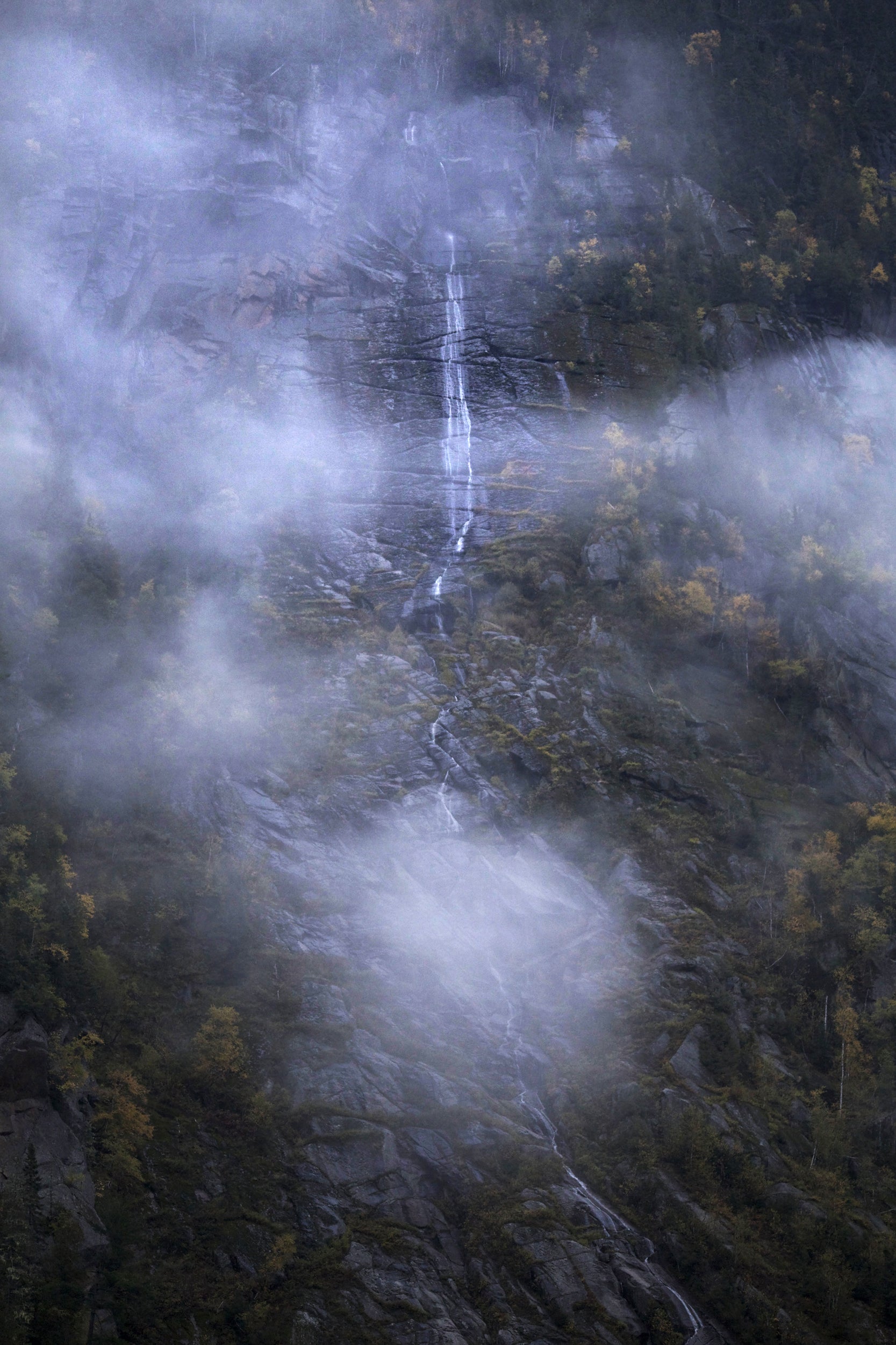 Paysage du Québec - Été 012