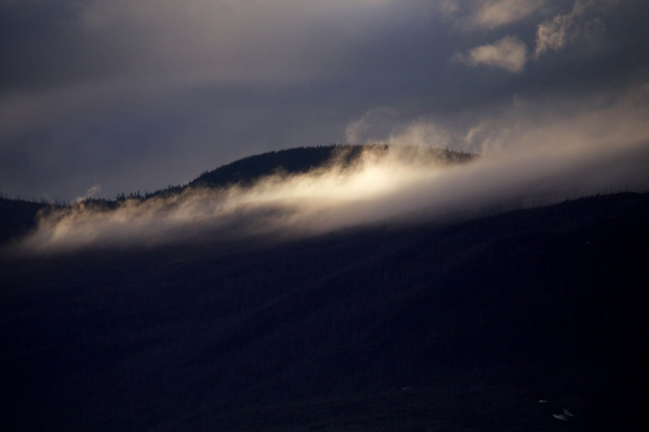 Paysage du Québec - Été 013