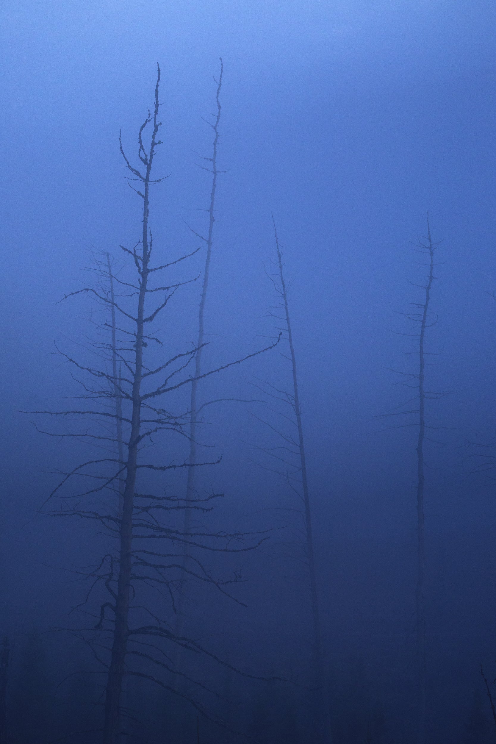 Paysage du Québec - Été 016