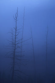 Paysage du Québec - Été 016