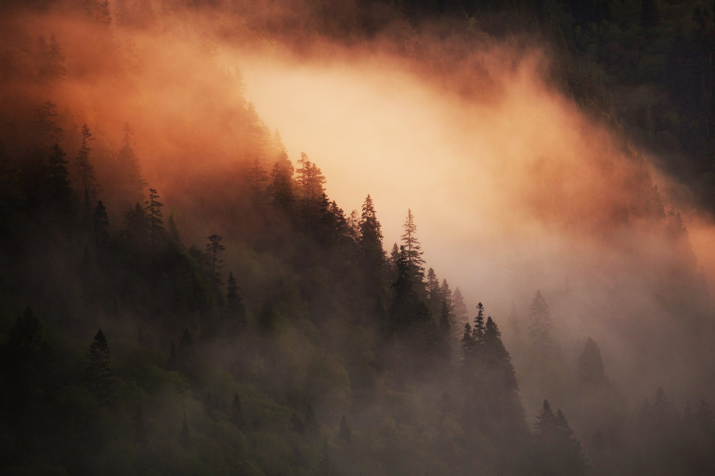 Paysage du Québec - Été 021