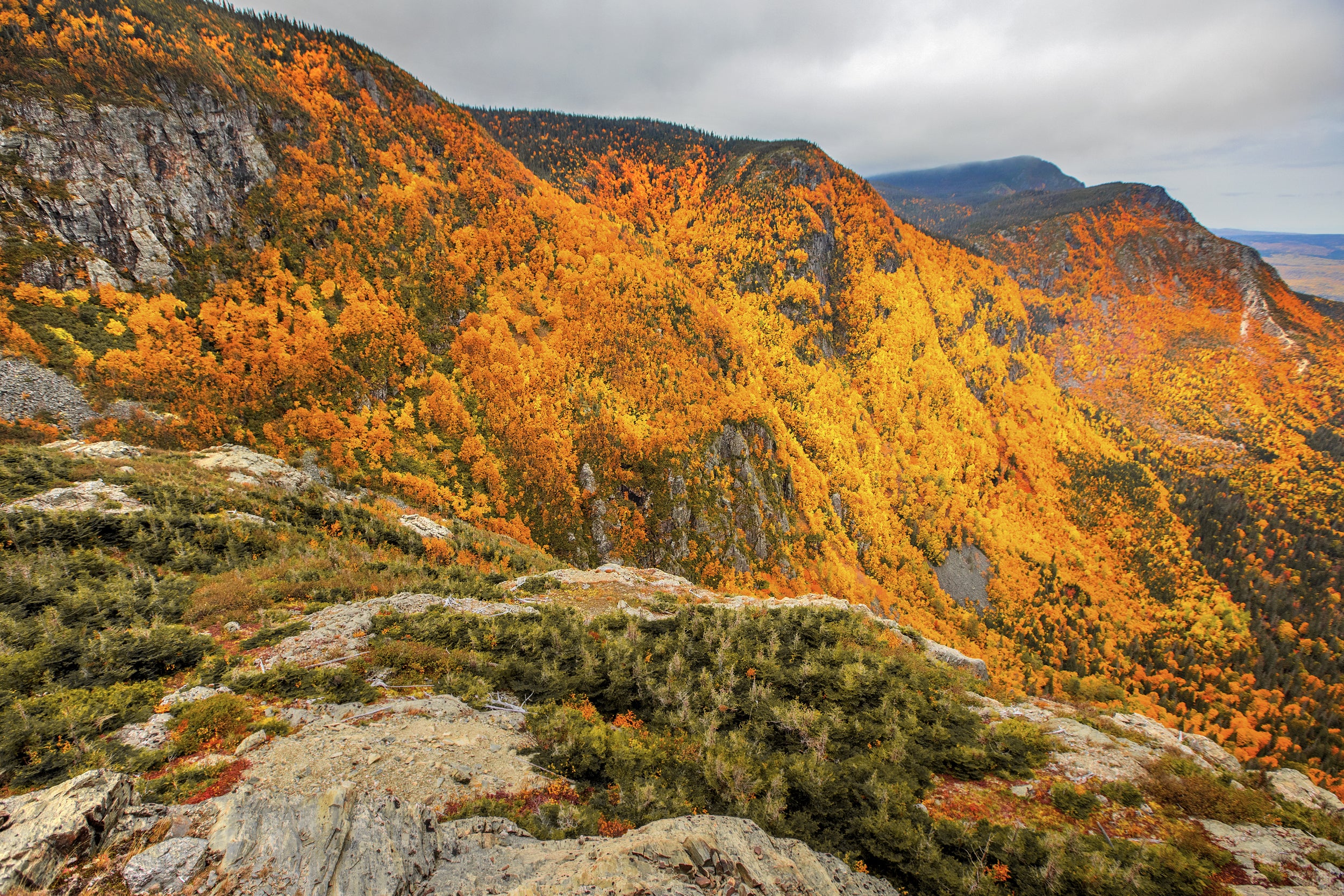 Paysage du Québec - Été 036