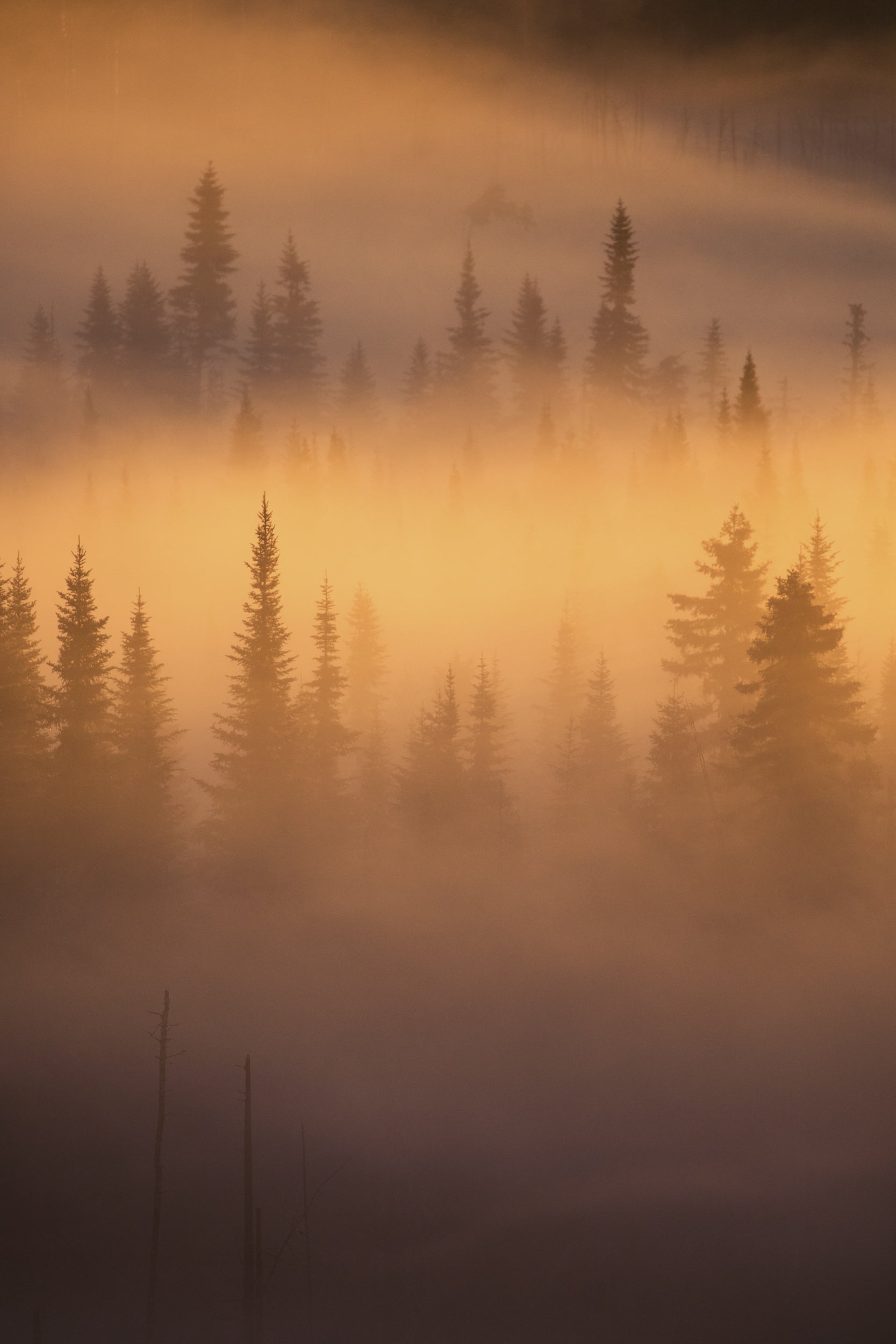 Paysage du Québec - Été 041