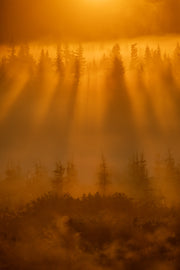 Paysage du Québec - Été 042