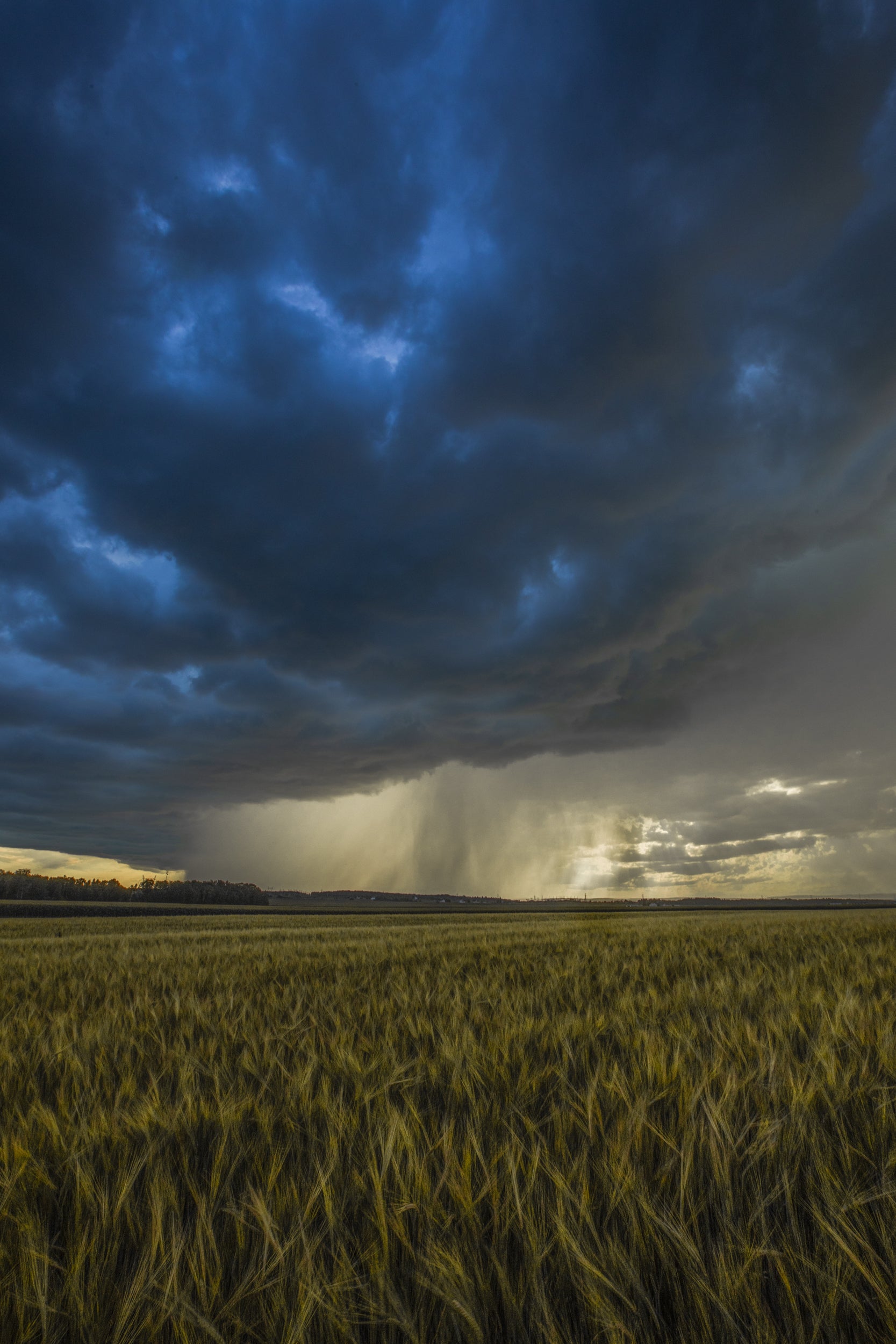 Paysage du Québec - Été 043