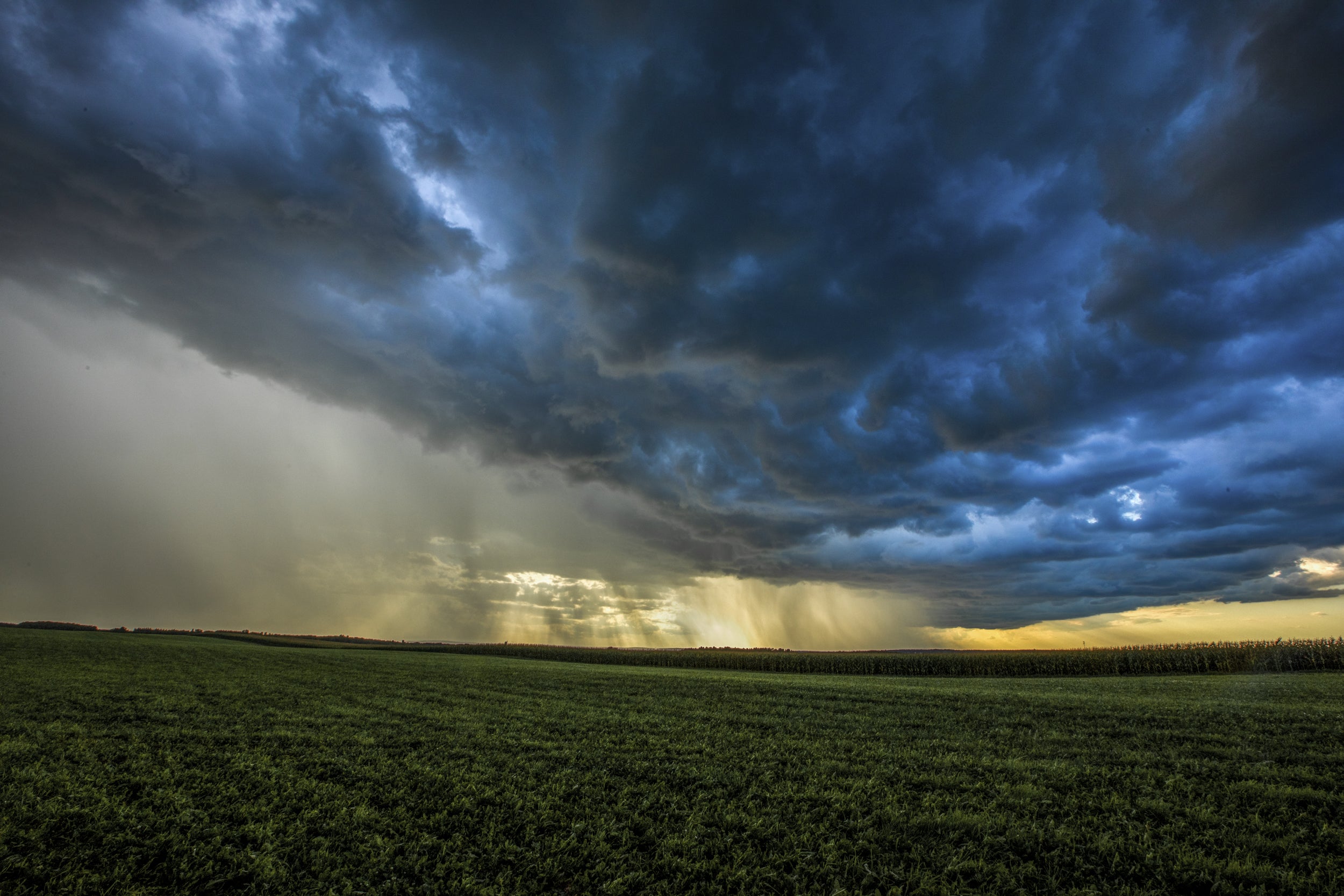 Paysage du Québec - Été 044