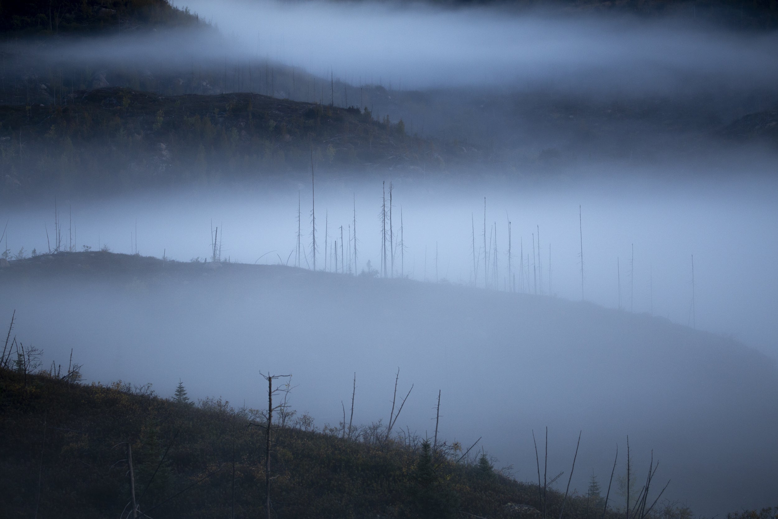 Paysage du Québec - Été 060