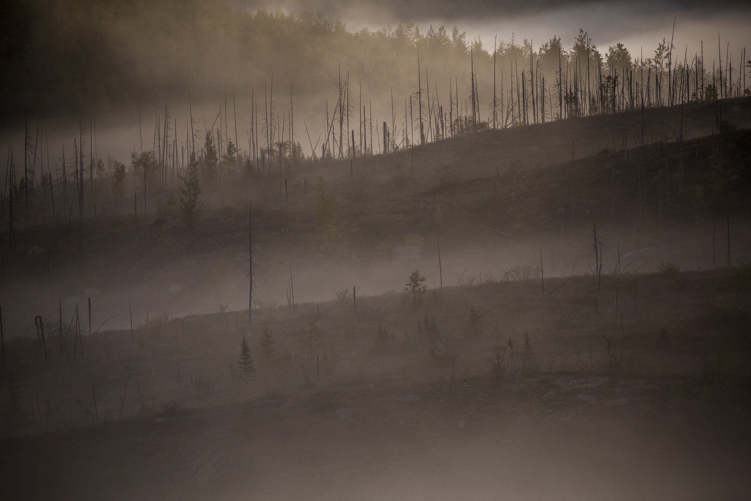 Paysage du Québec - Été 061
