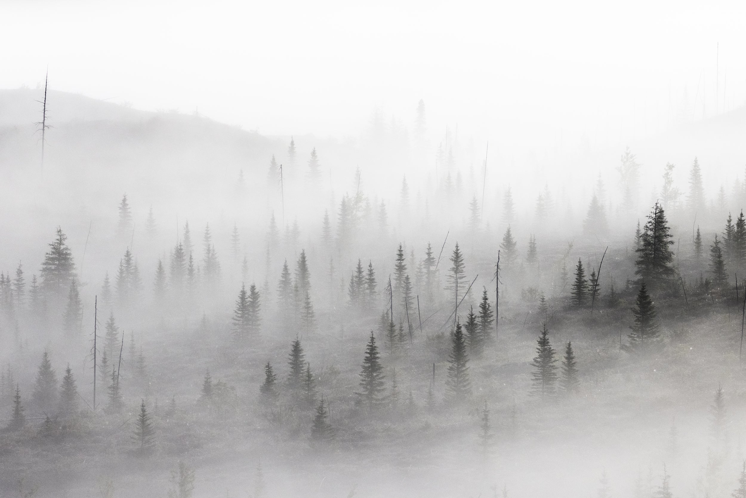 Paysage du Québec - Été 062