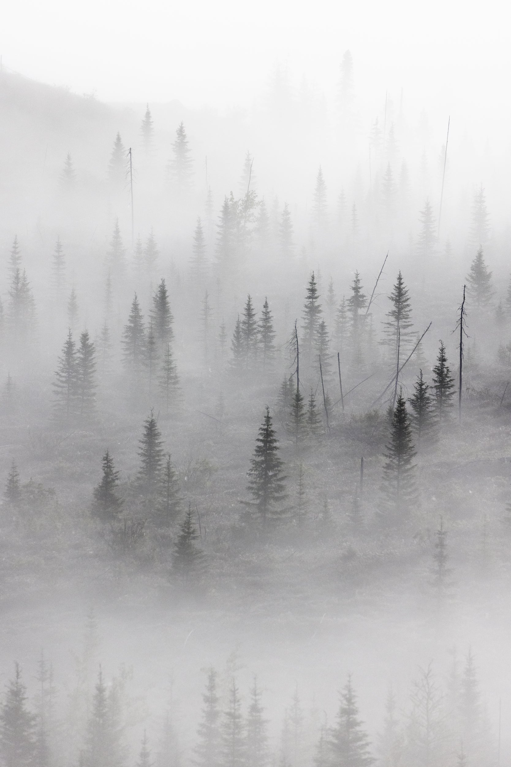 Paysage du Québec - Été 063