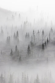 Paysage du Québec - Été 063