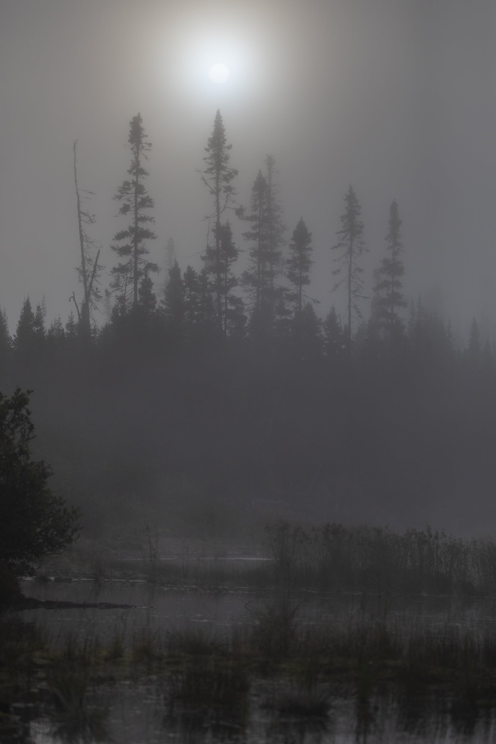 Paysage du Québec - Été 066