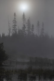 Paysage du Québec - Été 066