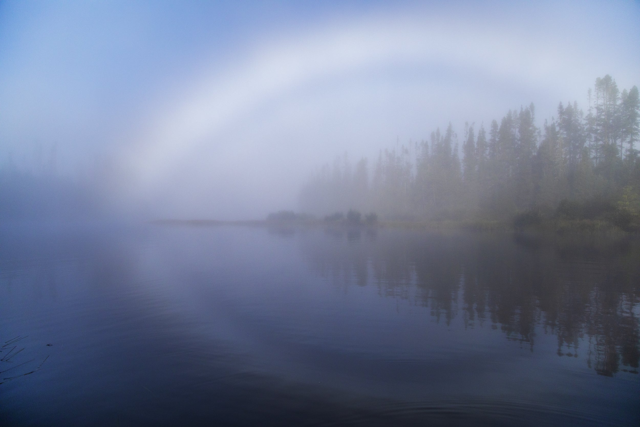 Paysage du Québec - Été 067