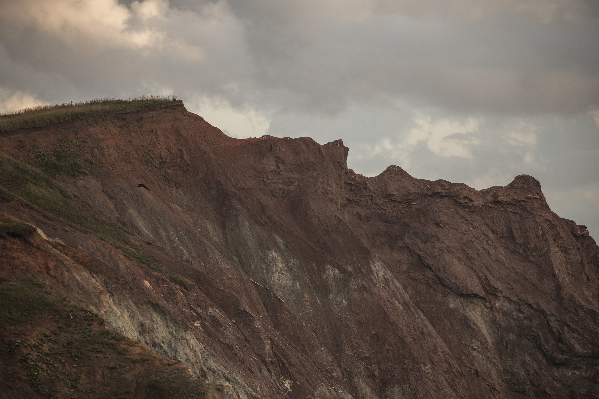 Paysage du Québec - Été 069