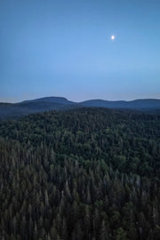 Paysage du Québec - Été 078