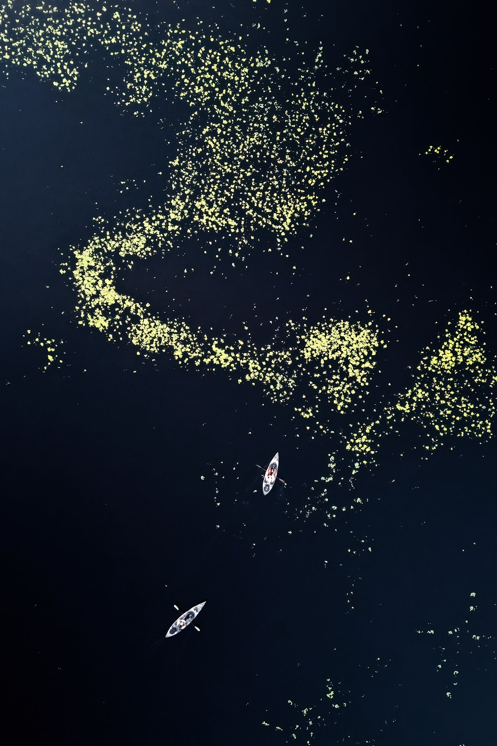 Paysage du Québec - Été 081