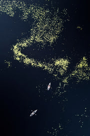 Paysage du Québec - Été 081