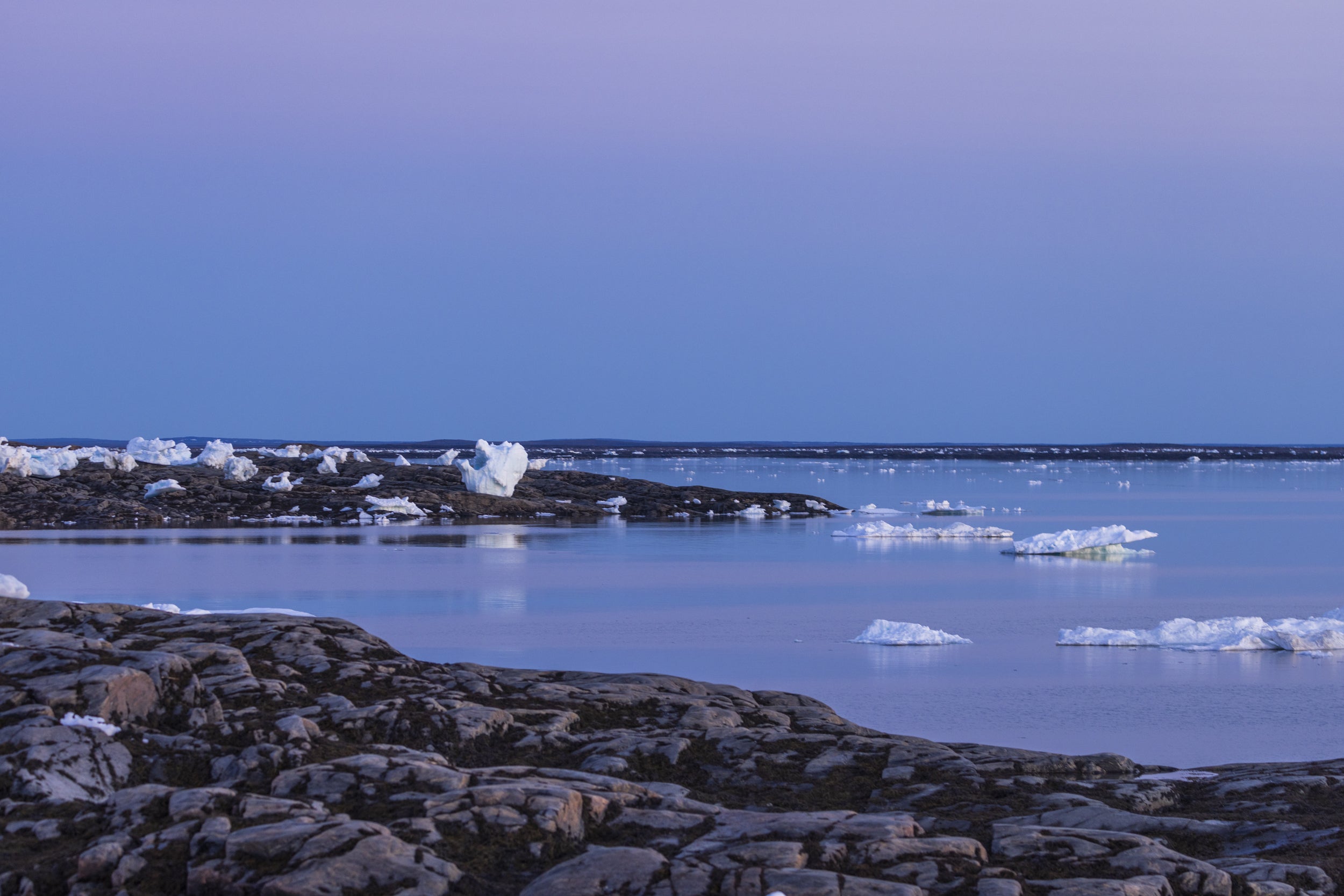 Paysage Nunavik - Été 1561