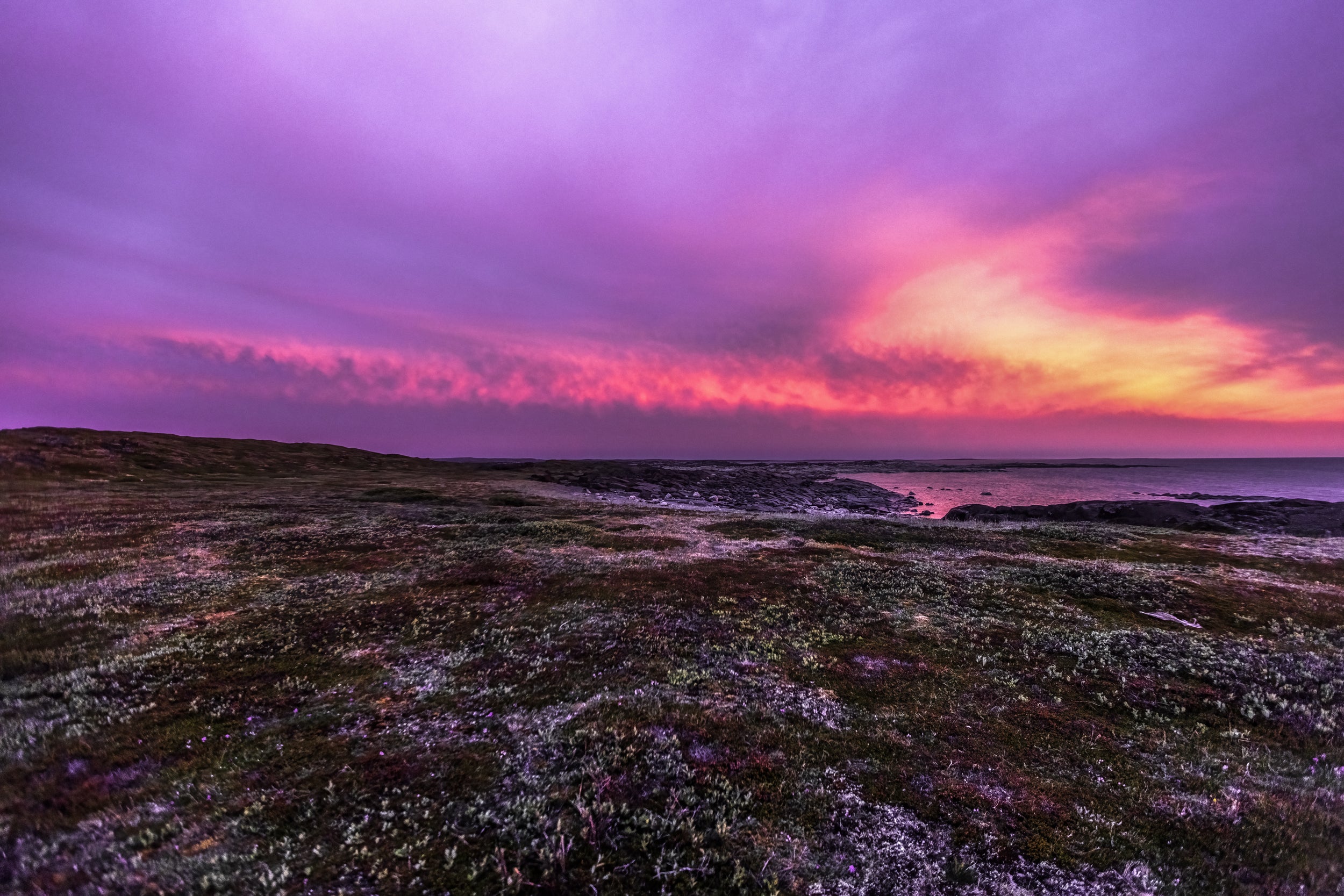 Paysage Nunavik - Été 1582