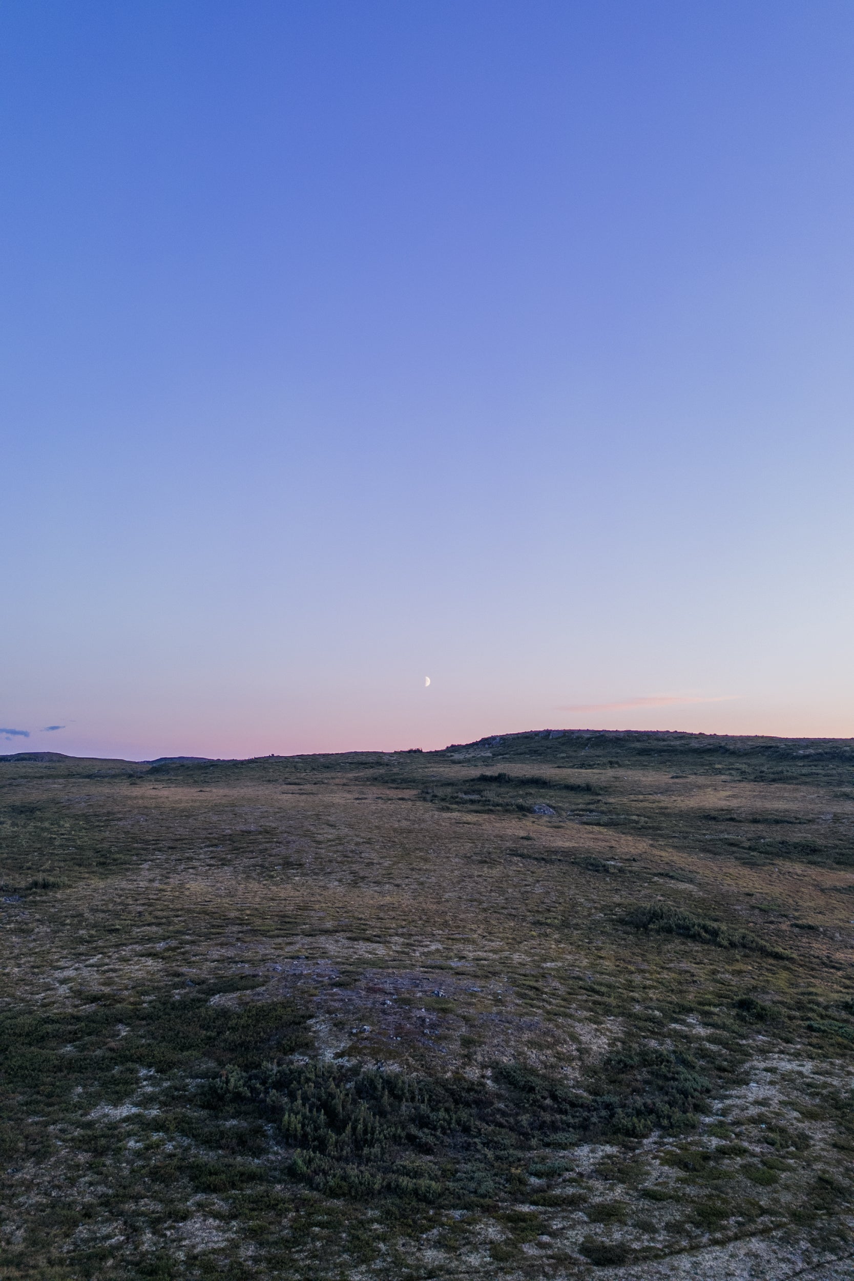 Paysage Nunavik - Été 1587