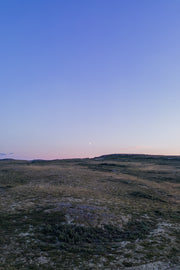 Paysage Nunavik - Été 1587