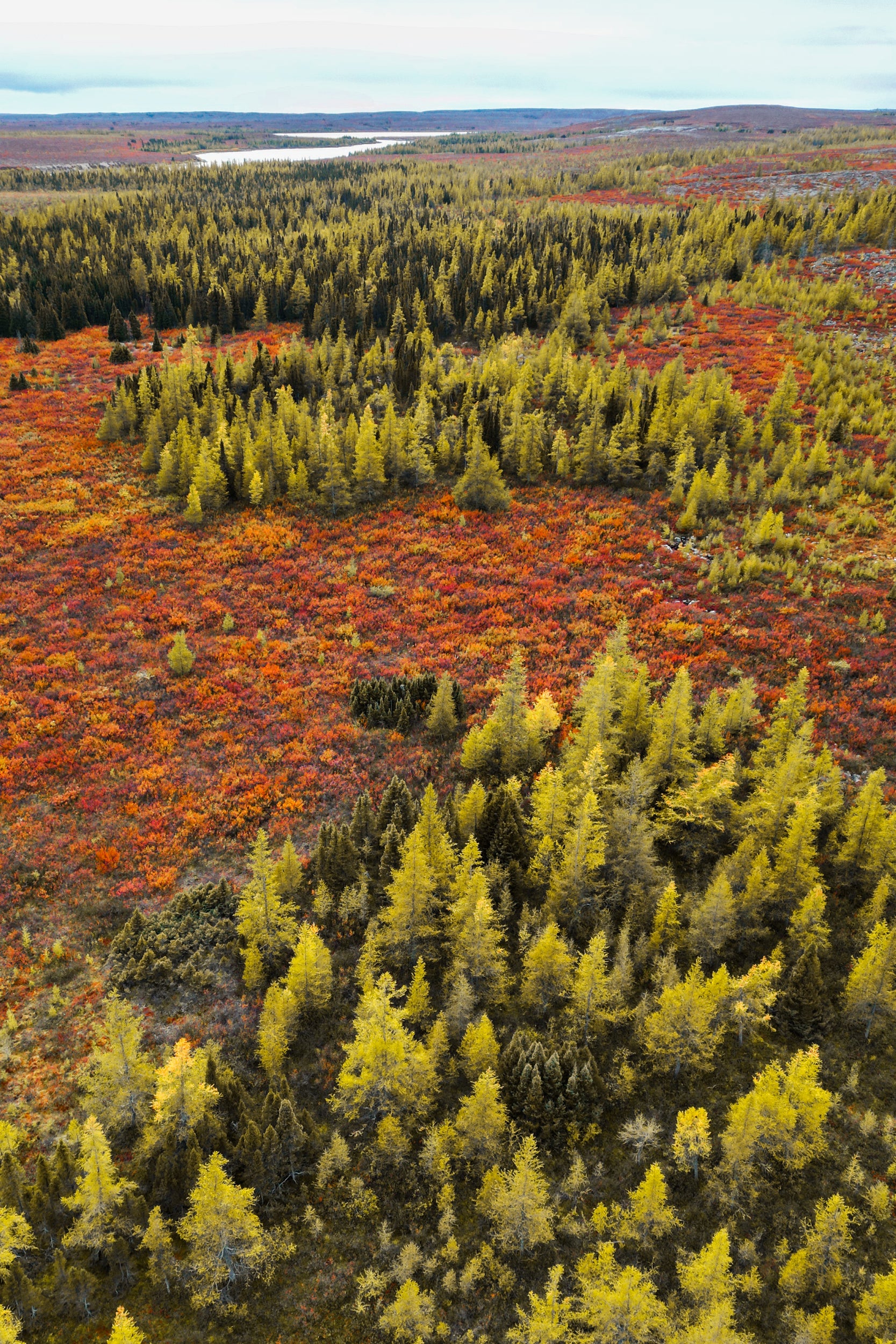 Paysage Nunavik - Été 1600