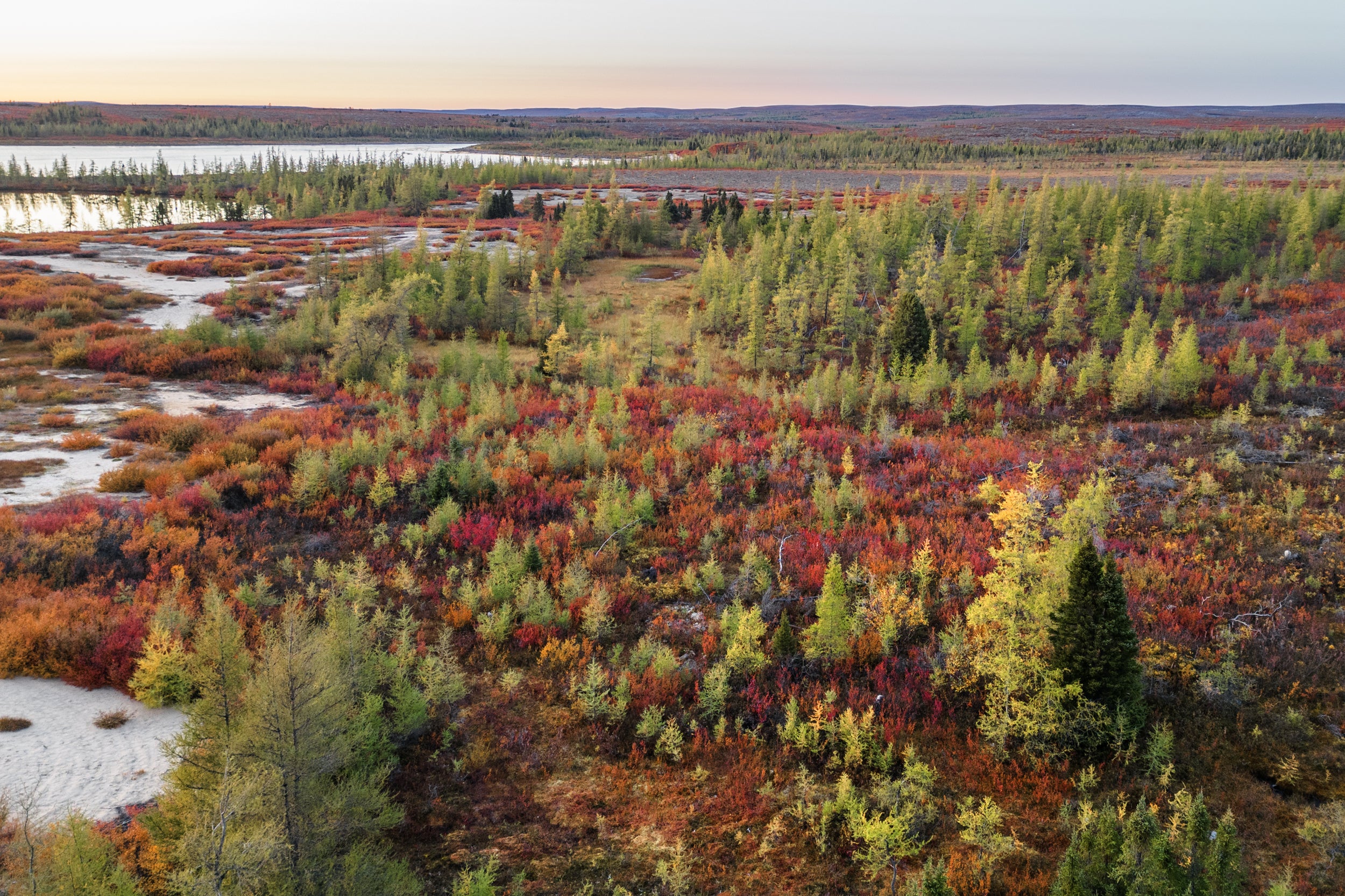 Paysage Nunavik - Été 1605