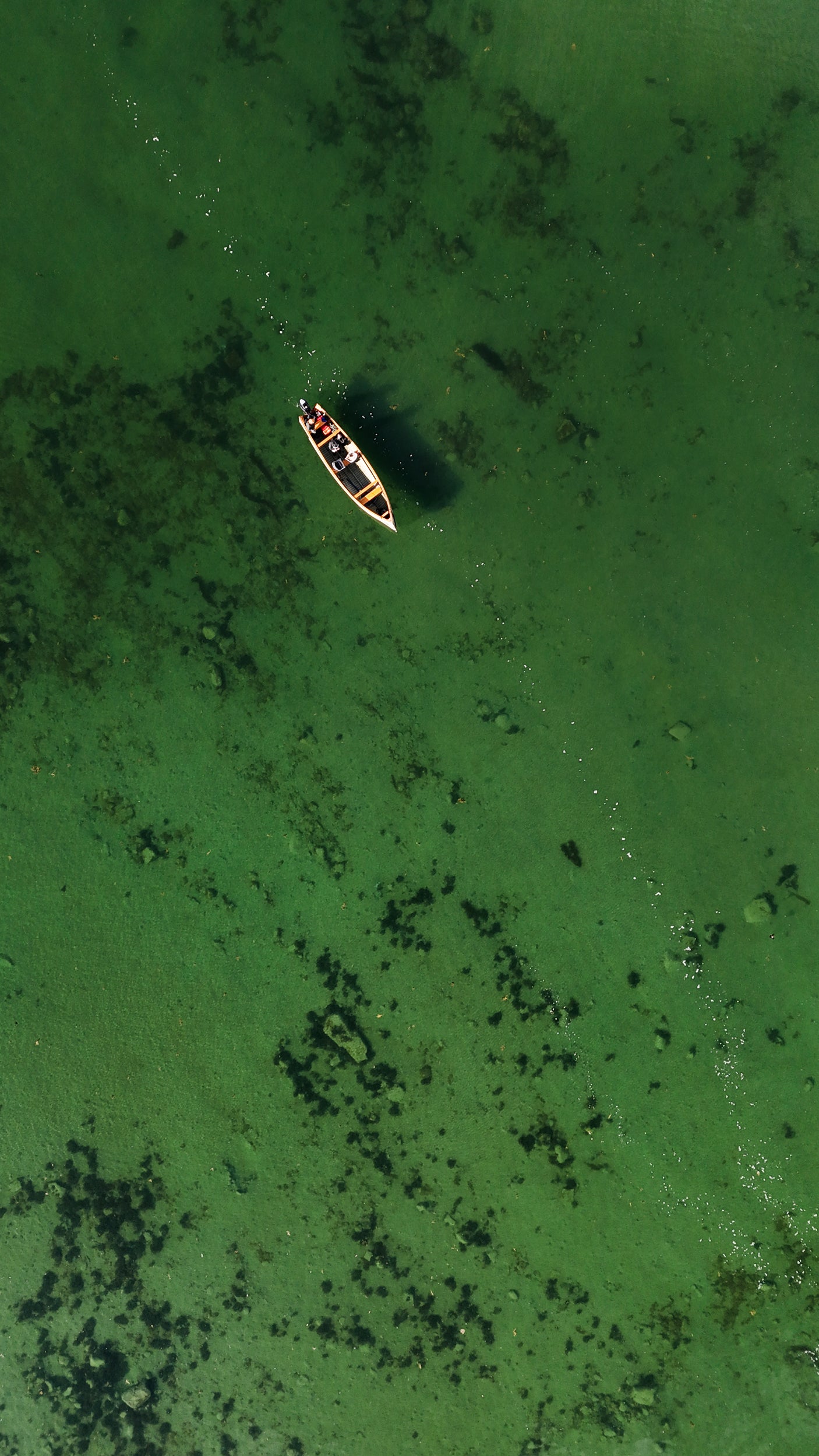 Paysage Nunavik - Été 1637