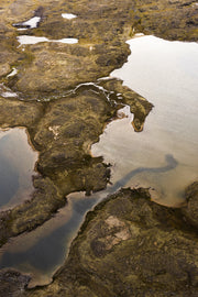 Paysage Nunavik - Été 076