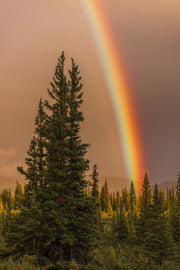 Paysage Nunavik - Été 092