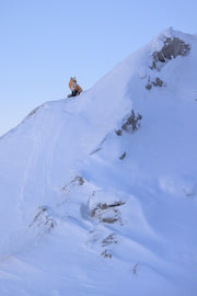 Renard roux - Hiver 098