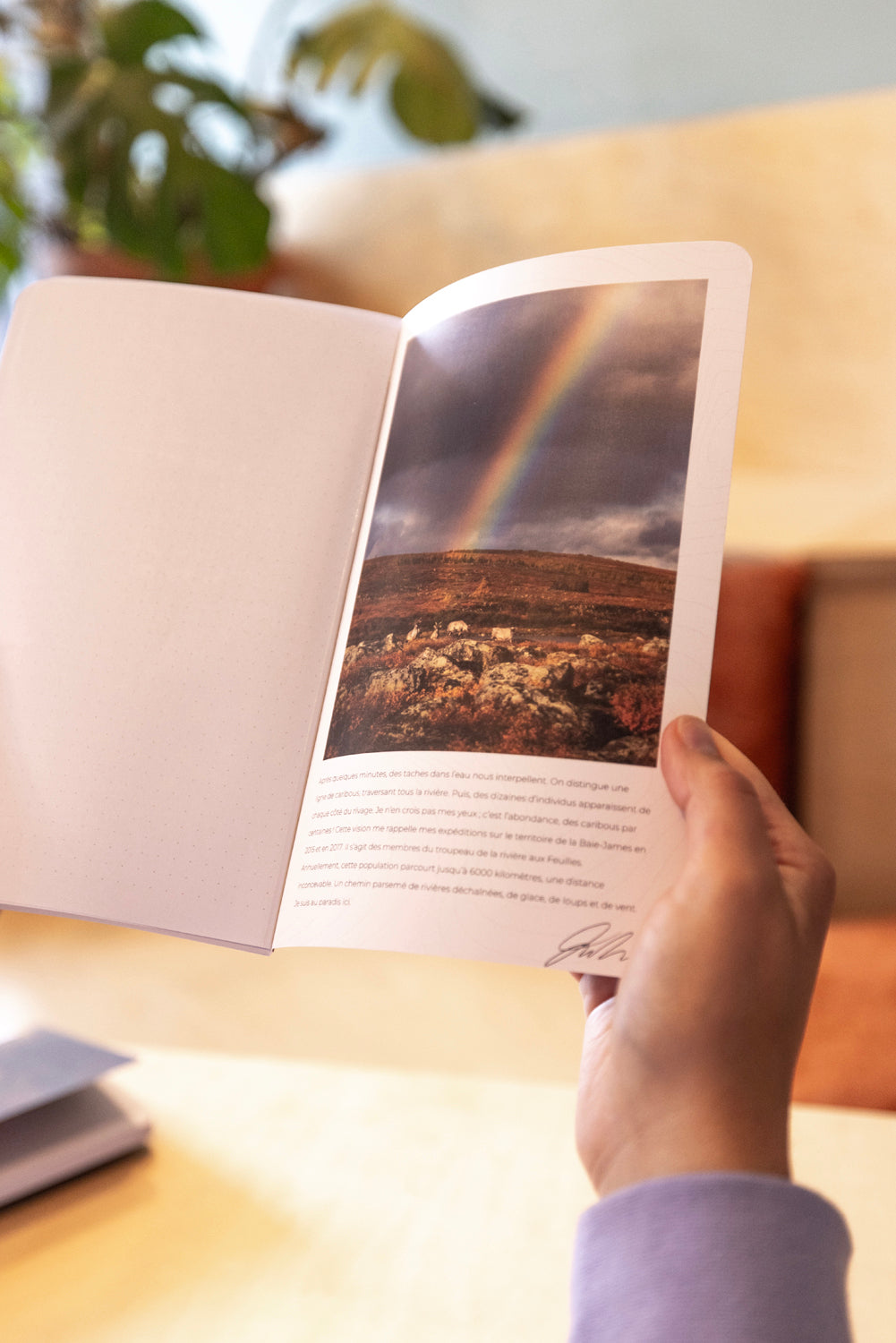 Cahier de notes - Caribou