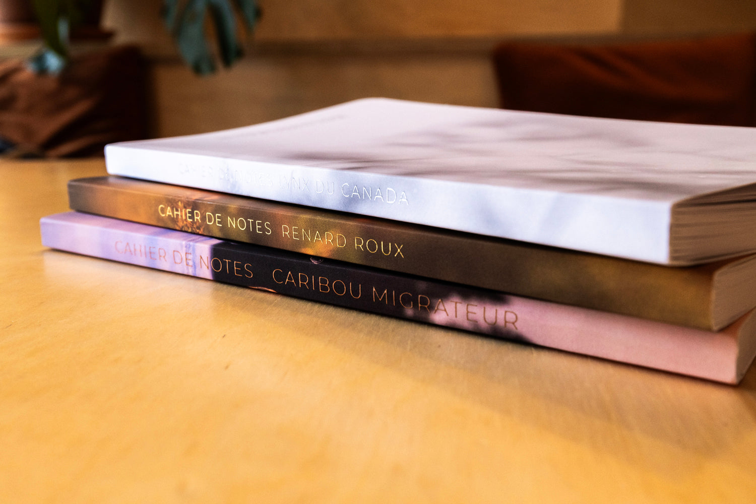 Trio de cahiers de notes