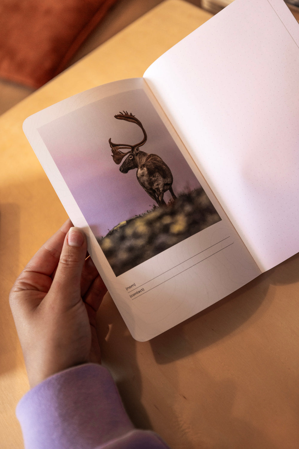 Cahier de notes - Caribou