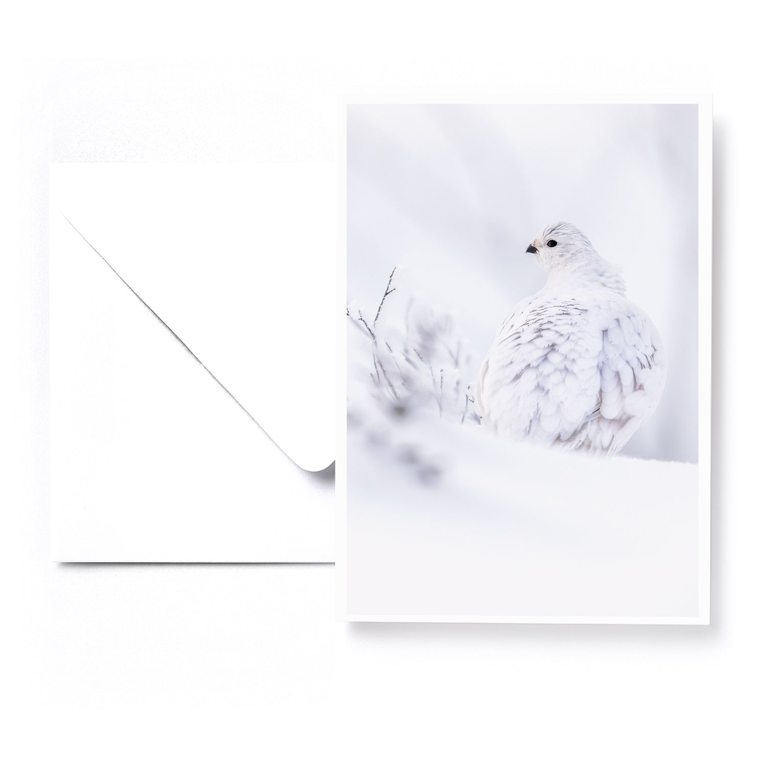 Ensemble de 5 cartes de souhaits - Artique hiver