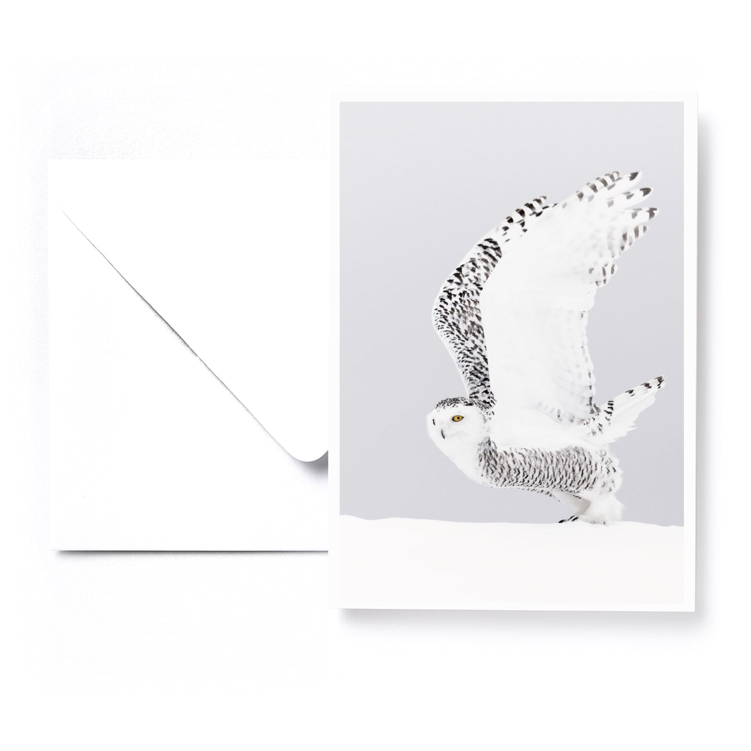 Ensemble de 5 cartes de souhaits - Artique hiver