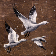 Flottant dans l'air froid