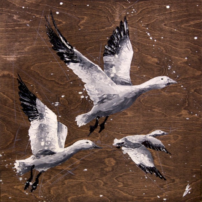 Flottant dans l'air froid