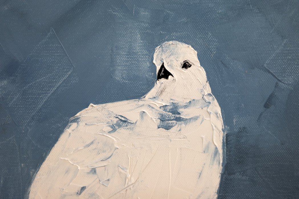 Lagopèdes à l'heure bleue