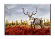 Le long des rivières