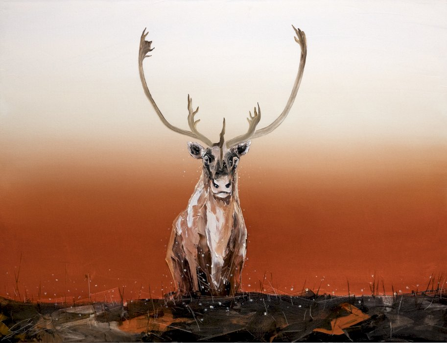 Les mouches qui scintillent