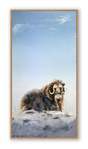 Sous le ciel de l'arctique