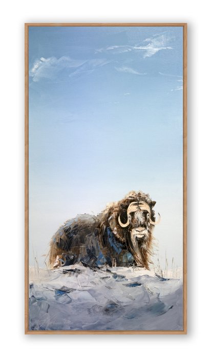 Sous le ciel de l'arctique