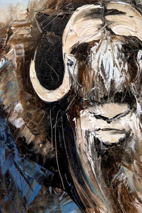 Sous le ciel de l'arctique