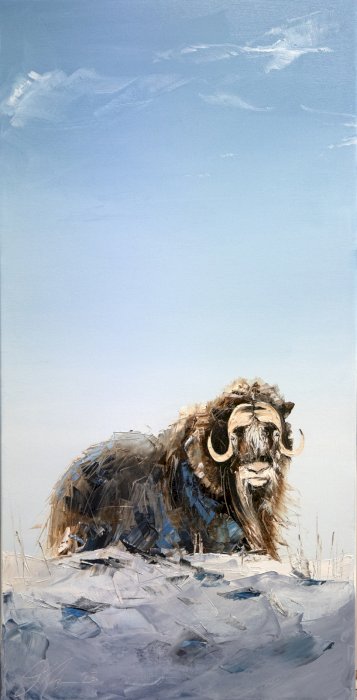 Sous le ciel de l'arctique