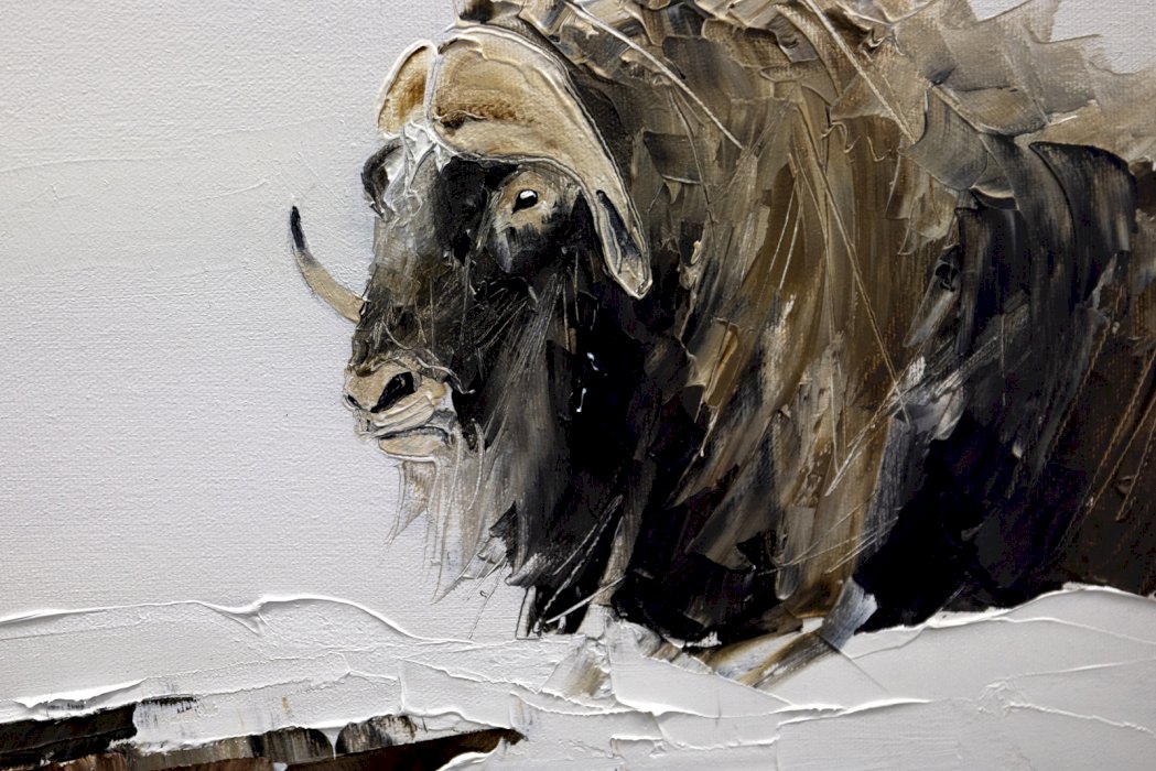 Sur les îles d'Ungava