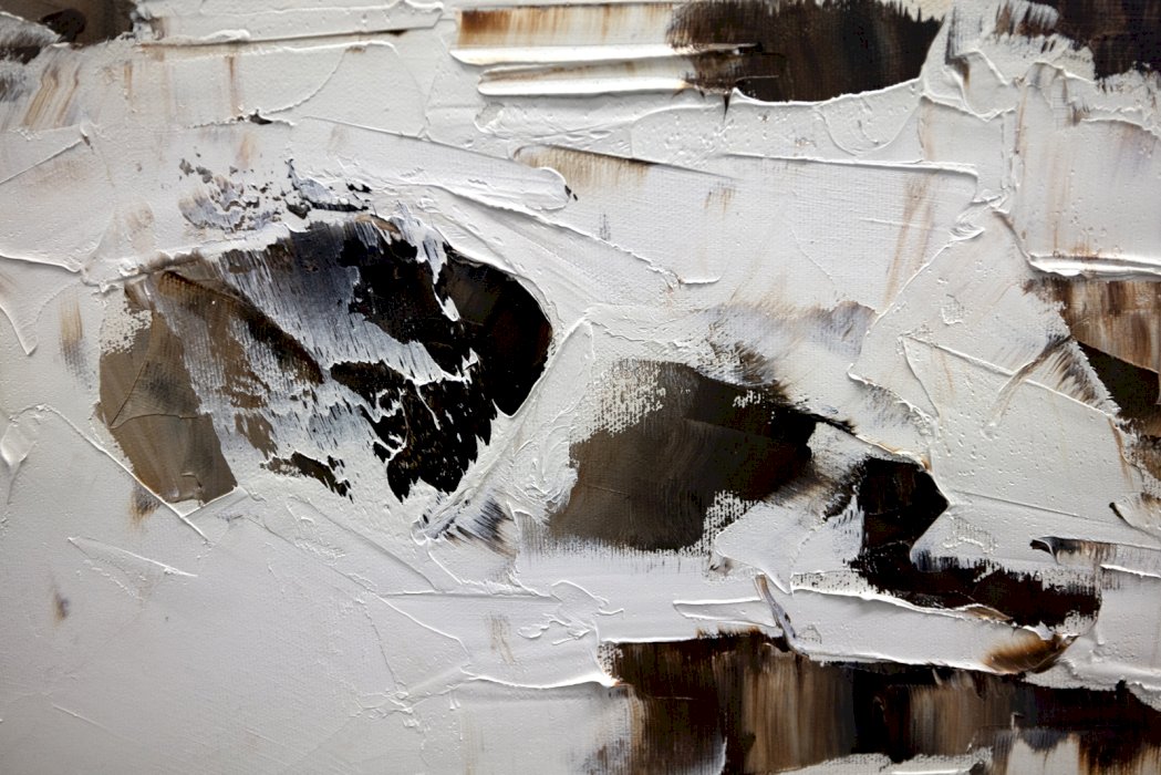 Sur les îles d'Ungava