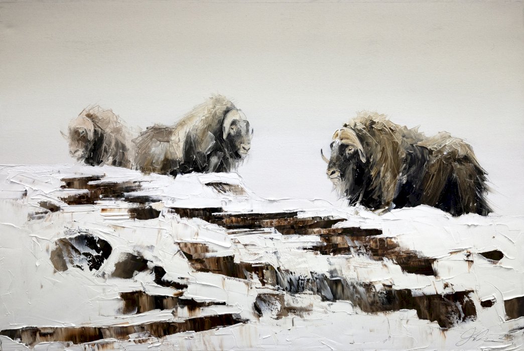 Sur les îles d'Ungava